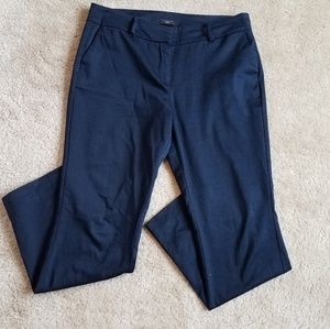 Ann Taylor Petite Navy Work Pants